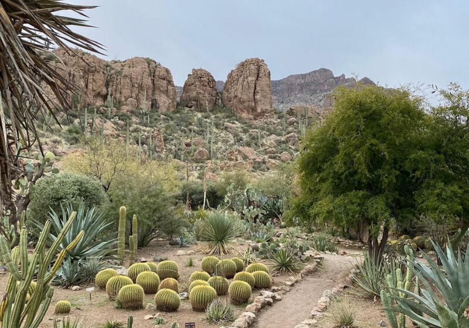 desert and mountains